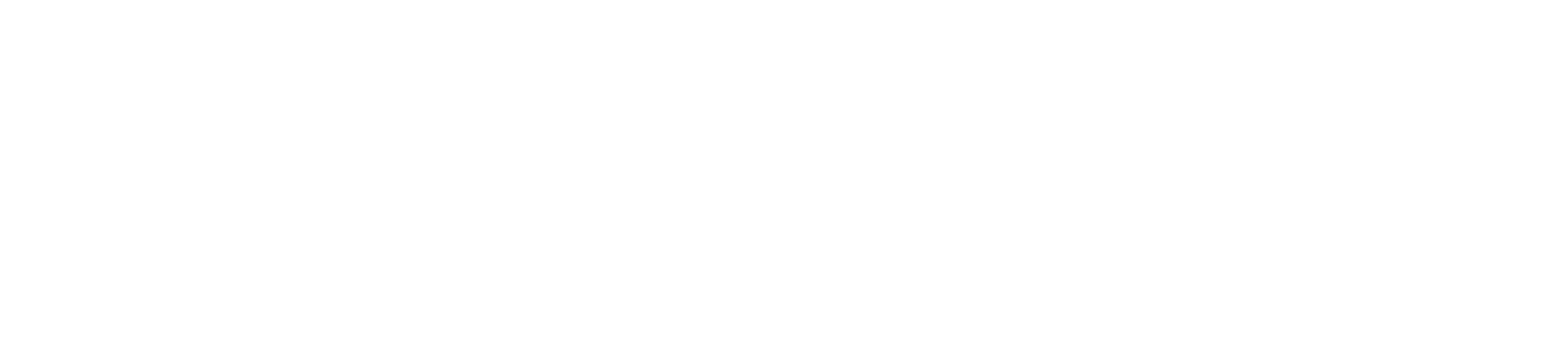 Navigaze Logo